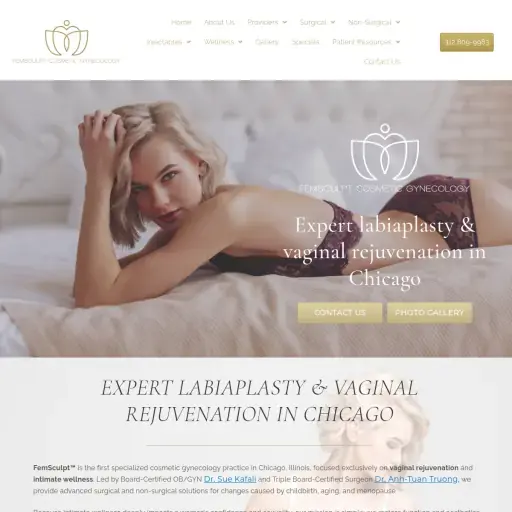 FemSculpt Cosmetic Gynecology