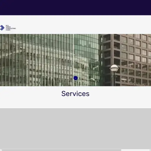 MSorbis consulting