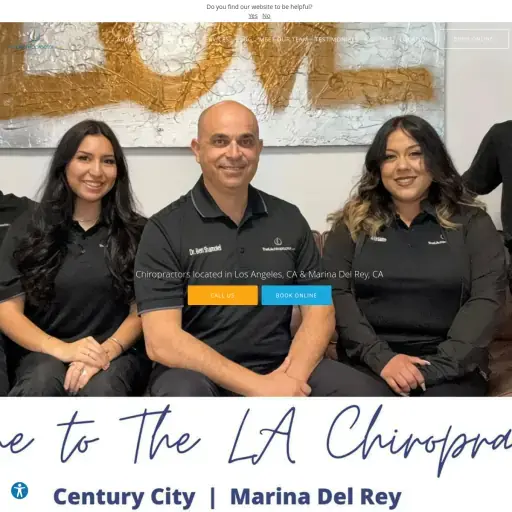 The LA Chiropractor