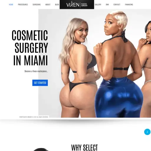 Vixen Plastic Surgery